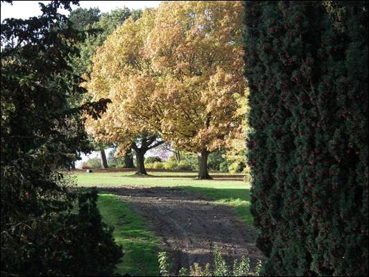queenspark 003 queenspark 003